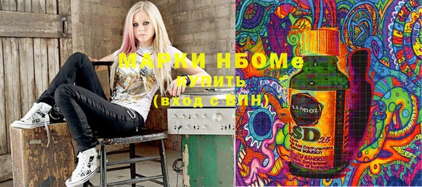 ГАЛЛЮЦИНОГЕННЫЕ ГРИБЫ Абаза