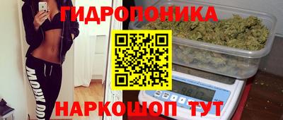 ПСИЛОЦИБИНОВЫЕ ГРИБЫ Новодвинск