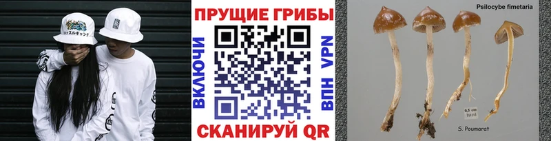 Псилоцибиновые грибы Magic Shrooms  Топки 